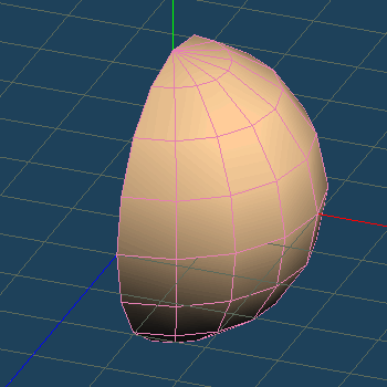 Metasequoia